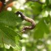 257483 – Photo : S. Combaud – France (12)